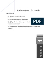 Tema1 PDF