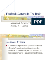 Feedback Systems in The Body: Anatomy & Physiology I Biology 1611 Lecture