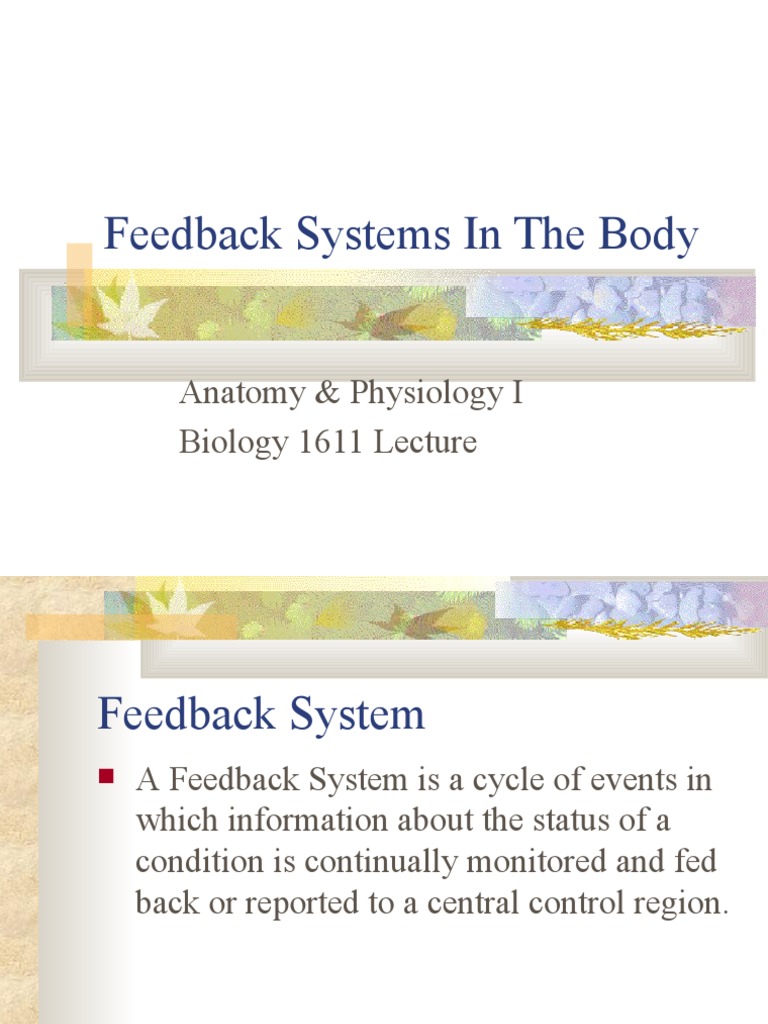 Feedback Systems in Human Physiology | PDF | Negative Feedback | Feedback