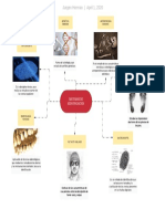 Sistemas de Identificación