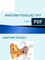 Anatomi Fisiologi THT