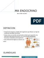 Sistema Endocrino