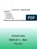 Genetika Bakteri Dan Virus