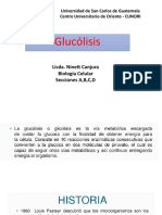 Clase Lunes 13 de Abril, Tema Glucolisis