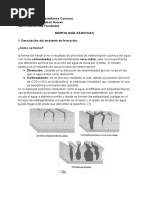 Definición y características de la marga | PDF | Petrología | Caliza