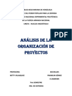 Analisis Organizacion de Proyectos...