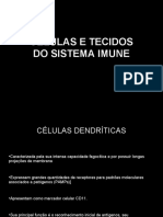 clulasetecidos-131031144549-phpapp01.pdf