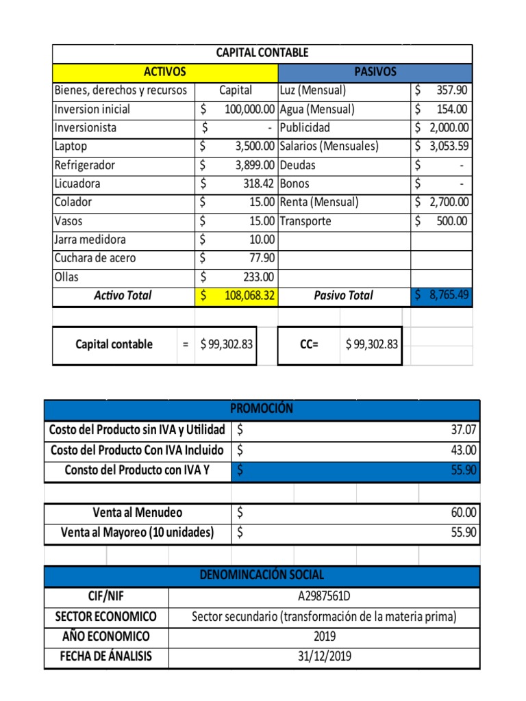 Capital Contable Activos Pasivos Activo Total Pasivo Total