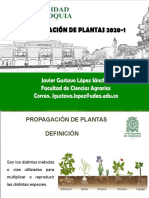 Curso Propagación de Plantas 31032020 P1