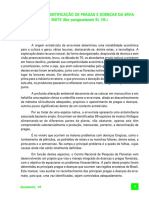 Manual de Identificação de Pragas E Doenças Da Erva-MATE (Ilex Paraguariensis St. Hil.)