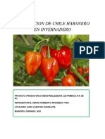 PRODUCCION_DE_CHILE_HABANERO_EN_INVERNAD.pdf