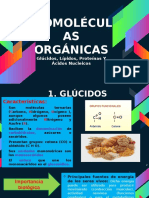 Biomoleculas Organicas 5to