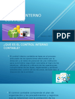 Control Interno Contable