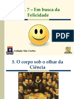 Cap. 7 - em Busca Da Felicidade