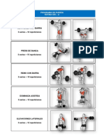 Programa de Fuerza - 1