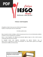 9º ano - Minibiografia romanceada.pptx