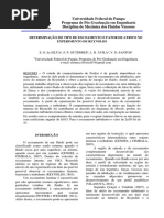 Artigo 2 - Reynolds.pdf