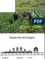 PLAGAS_DE_LA_PAPA