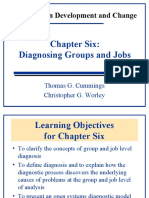 Organization Development and Change: Chapter Six: Diagnosing Groups and Jobs