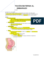 Adaptación Materna Al Embarazo