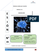 MODULO 05 FILOSOFIA.docx