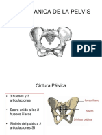 Biomecanica-de-pelvis.pdf