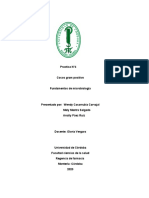 Practica N°4 Microbiologia PDF