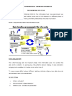 HMIS Information Cycle Notes PDF