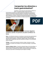 21 Abril 4to Cómo Se Transportan Los Alimentos A Través Del Tracto Gastrointestinal PDF