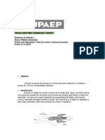 Rafael Martinez Dominguez 78900873 PDF
