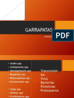 6. garrapatas_compressed (1)