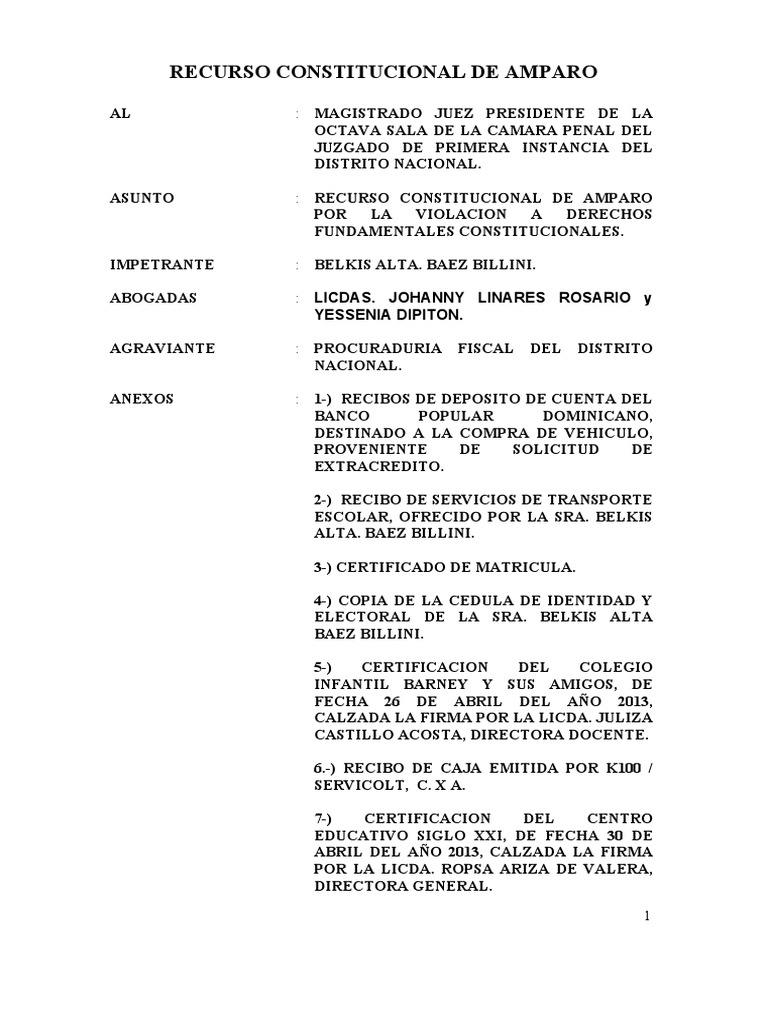 Johanny Linares - Recurso Constitucional de Amparo | PDF | Derecho ...