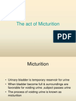 Physiology of Micturition Reflex PDF