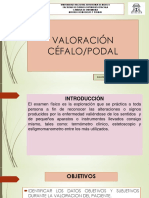 Valoracion Cefalo Caudal