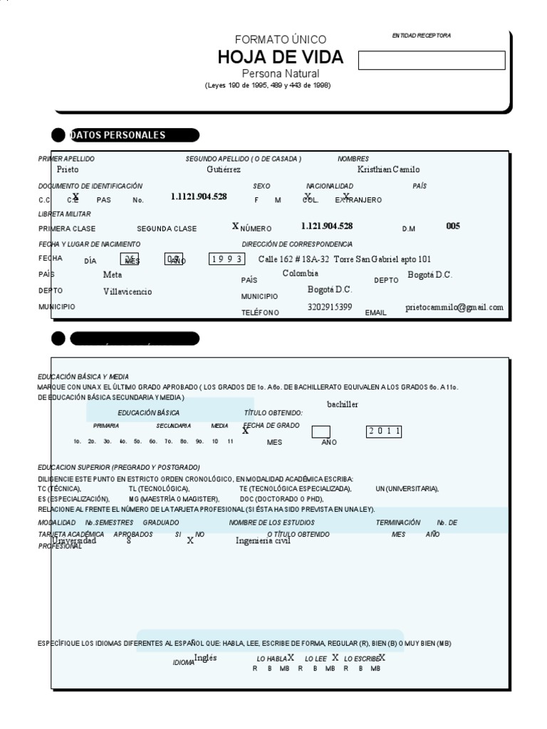Como Se Dice Especializacion Academica En Ingles CV 6 | PDF | Educación Secundaria | Etapas educativas