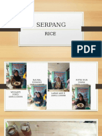 SERPANG2.pptx