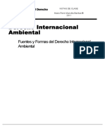 1-. Fuentes y Formas Del Derecho Internacional Ambiental PDF