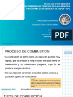 Procesos unitarios: Combustión y escaldado