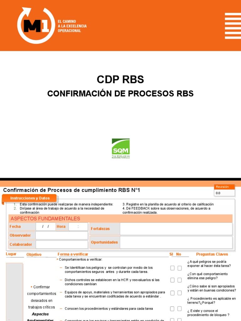 Confirmación de Procesos RBS | PDF | Peatonal | Andamio