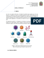 Informe Sars-cov2 y Covid-19