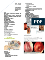 Semiología Del Oído