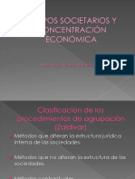 Grupos Societarios y Concentración Económica - Clase 2016