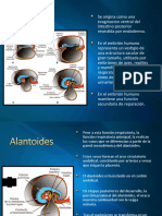 3_ parte Placenta y Anexos Embrionarios - 2012