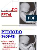 Clase 8 Período Fetal