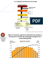 DIAGRAMA DE UTILIZACION DE ENERGIA EN NOVILLOS.pptx