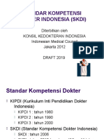 291 - SKDI 2012-2019 (Draft) .Odp