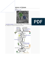 Evolutionary History of Plants: Further Information