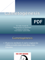 Gametogénesis - 2012