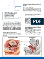 Anterior Vaginal Repair Spanish PDF