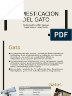 Domesticación Del Gato